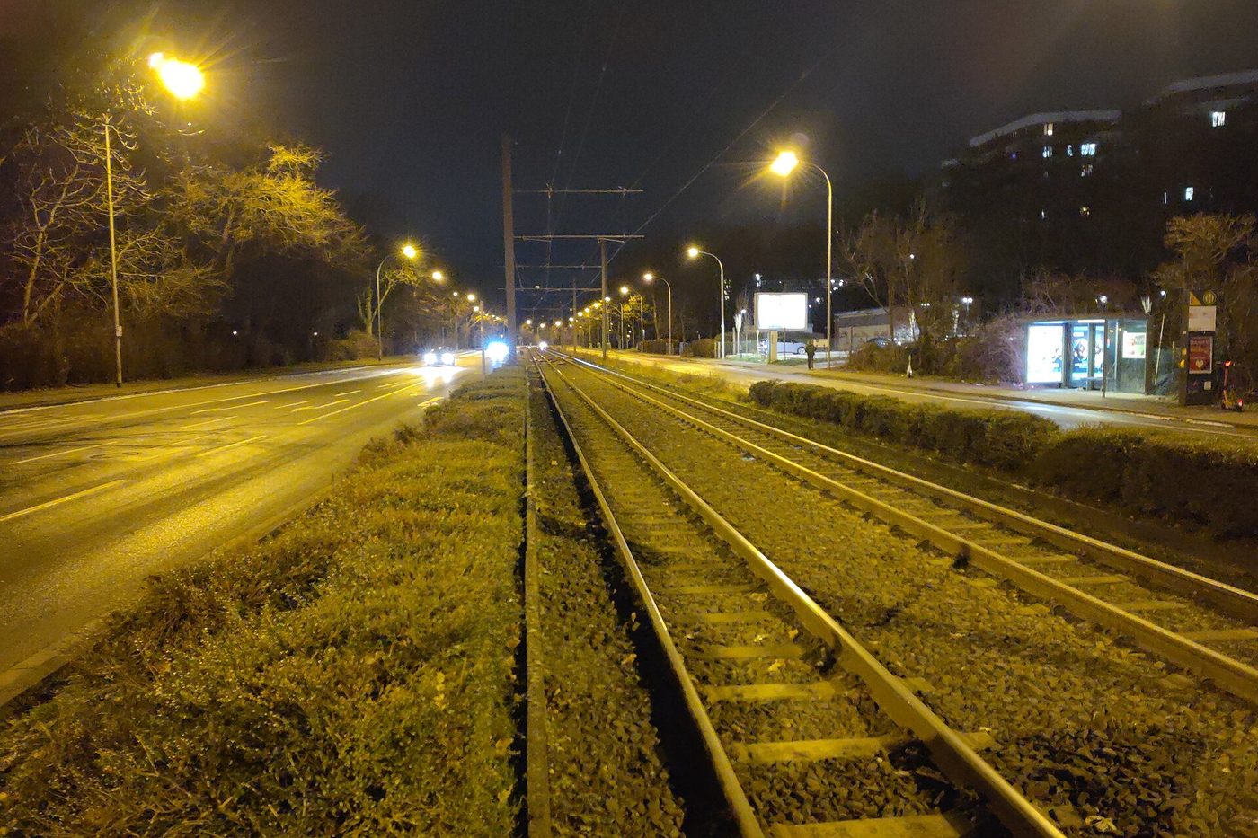 Tram tracks on a grass strip in Mainz at night, lit by orange street lamps